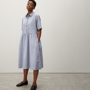 Everlane Parklet Shirtdress